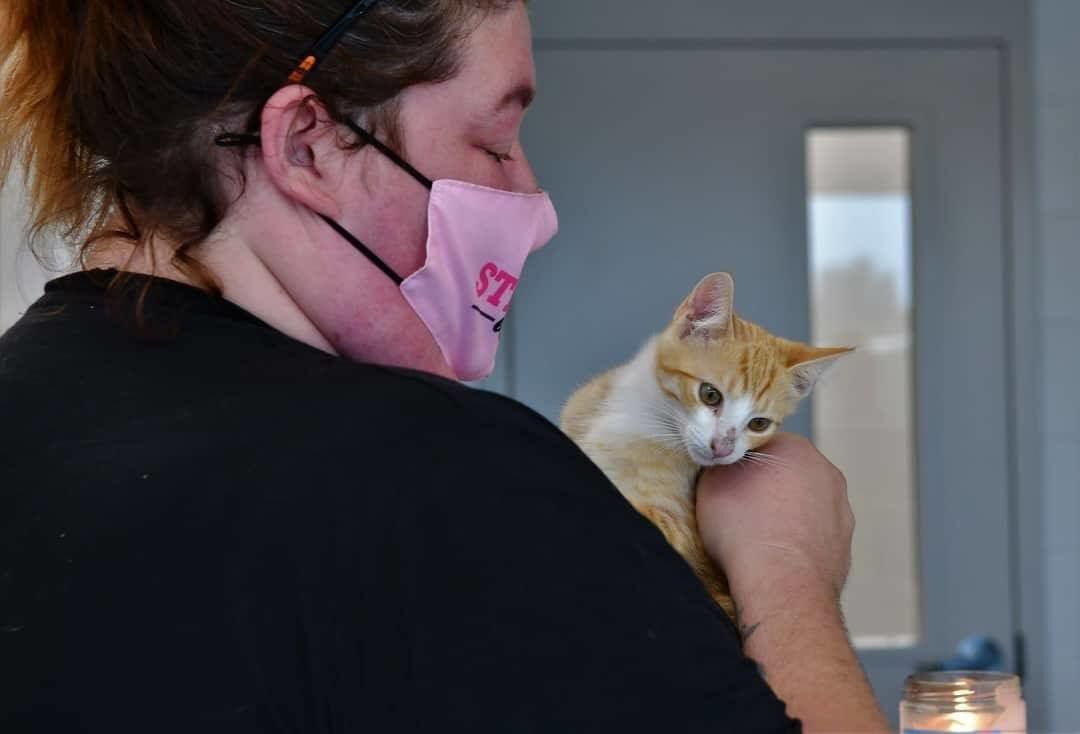 Franklin County opens new animal shelter